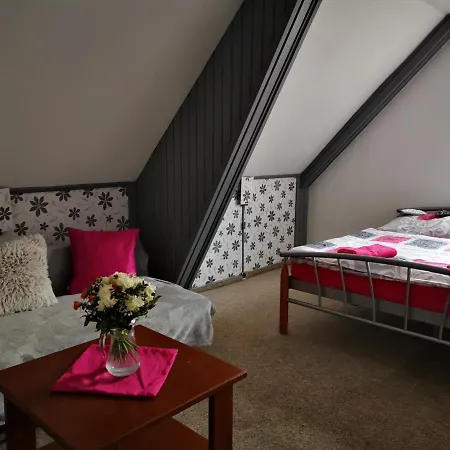 Casa de hóspedes Penzion Tomy Na Pláži Frymburk